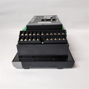 369-H1-R-M-F-E-H-E (8)