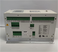 DECS-200-2L BASLER 3